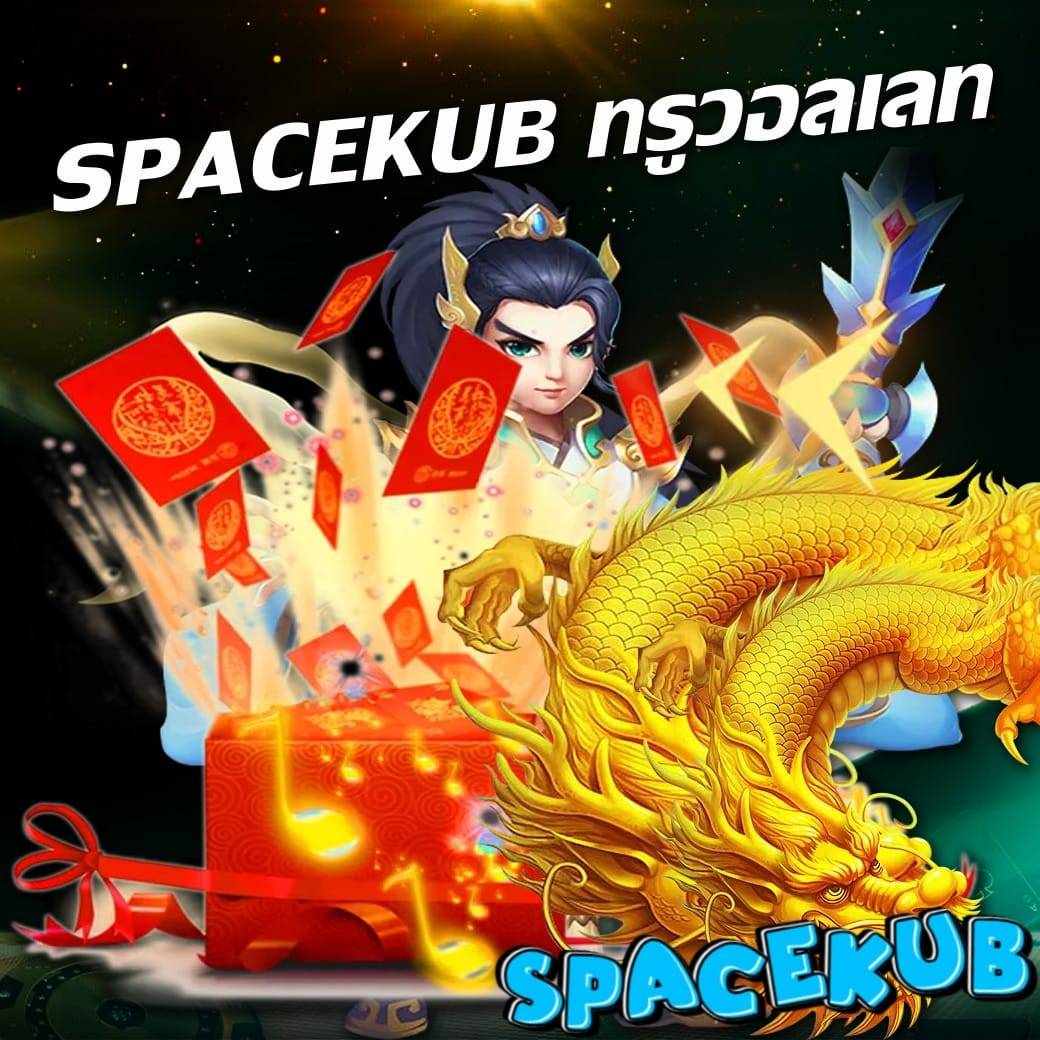 spacekub ทรูวอลเลท